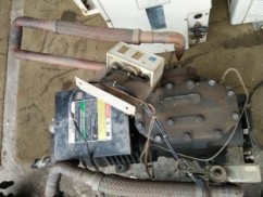 11198820_935030846546975_1287263560_n