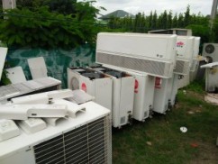 11942240_1004606052922787_273603570_n