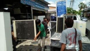 13682383_1195770707139653_378872359_o