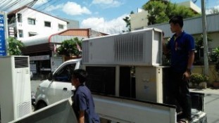 13682554_1195770690472988_1628136194_o